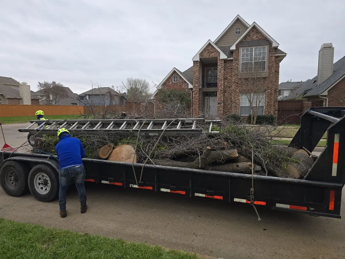 Expert Tree Removal with proper safety equipment in North Andover